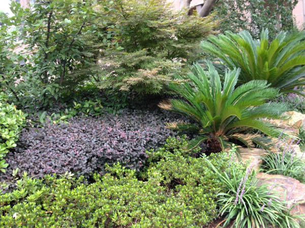 艾蘭的(de)願景與理(li)念