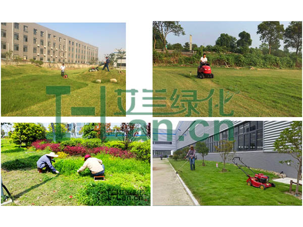 城(cheng)市(shi)園林綠化的(de)要點有(yǒu)哪些？